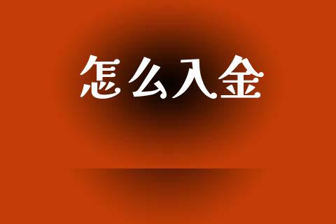 怎么入金_https://m.jnlaobingbanjia.com_股市新闻_第1张