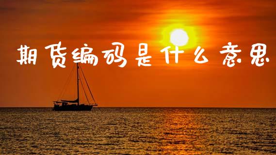 期货编码是什么意思_理财规划_第1张_全球市场_股市新闻_理财规划_金融监管_区块链_基金市场 期货编码是什么意思_https://m.jnlaobingbanjia.com_理财规划_第1张