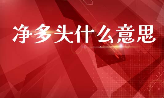 净多头什么意思_https://m.jnlaobingbanjia.com_金融监管_第1张
