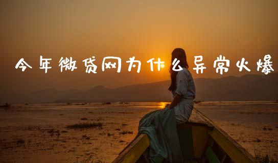 今年微贷网为什么异常火爆_https://m.jnlaobingbanjia.com_基金市场_第1张