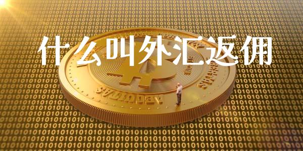什么叫外汇返佣_https://m.jnlaobingbanjia.com_区块链_第1张