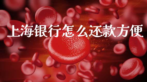 上海银行怎么还款方便_https://m.jnlaobingbanjia.com_全球市场_第1张