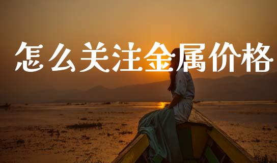 怎么关注金属价格_https://m.jnlaobingbanjia.com_基金市场_第1张