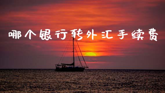 哪个银行转外汇手续费_https://m.jnlaobingbanjia.com_基金市场_第1张
