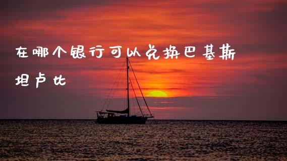 在哪个银行可以兑换巴基斯坦卢比_https://m.jnlaobingbanjia.com_股市新闻_第1张