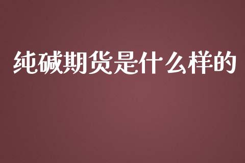 纯碱期货是什么样的_https://m.jnlaobingbanjia.com_理财规划_第1张