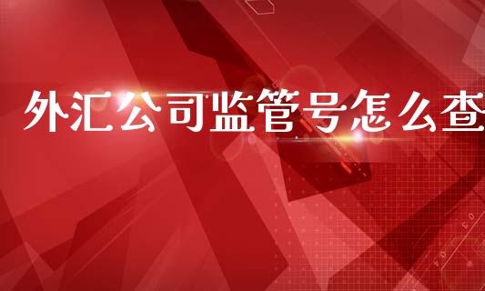外汇公司监管号怎么查_https://m.jnlaobingbanjia.com_理财规划_第1张