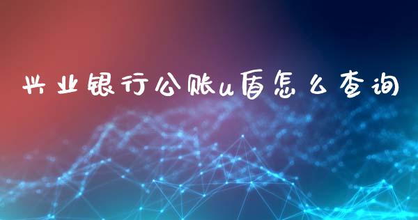 兴业银行公账u盾怎么查询_https://m.jnlaobingbanjia.com_金融监管_第1张