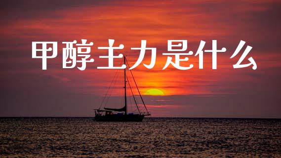 甲醇主力是什么_https://m.jnlaobingbanjia.com_理财规划_第1张
