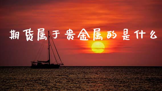 期货属于贵金属的是什么_https://m.jnlaobingbanjia.com_区块链_第1张