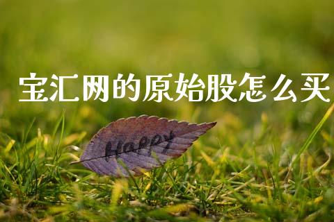 宝汇网的原始股怎么买_https://m.jnlaobingbanjia.com_金融监管_第1张