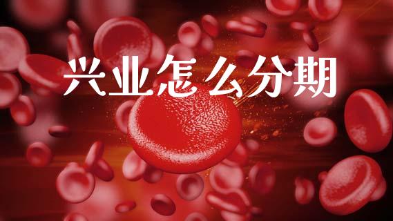 兴业怎么分期_https://m.jnlaobingbanjia.com_基金市场_第1张