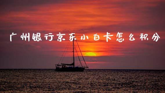 广州银行京东小白卡怎么积分_https://m.jnlaobingbanjia.com_全球市场_第1张