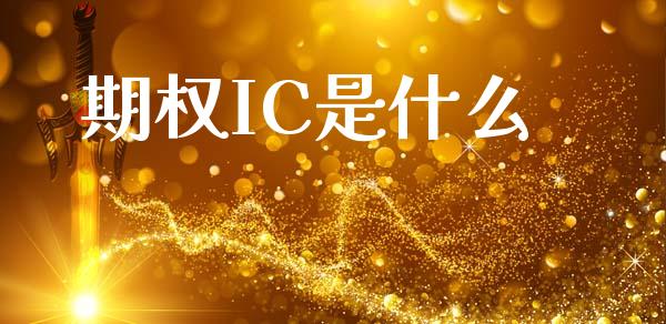 期权IC是什么_https://m.jnlaobingbanjia.com_基金市场_第1张