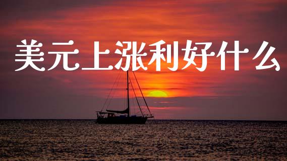 美元上涨利好什么_https://m.jnlaobingbanjia.com_基金市场_第1张