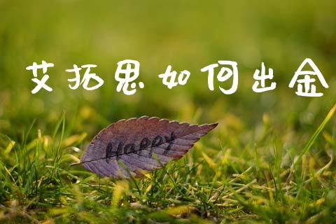 艾拓思如何出金_https://m.jnlaobingbanjia.com_基金市场_第1张