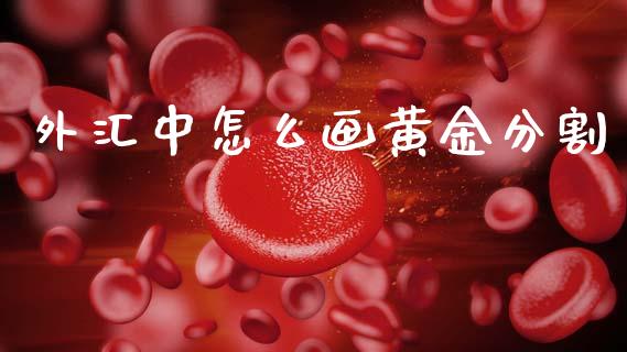 外汇中怎么画黄金分割_https://m.jnlaobingbanjia.com_区块链_第1张