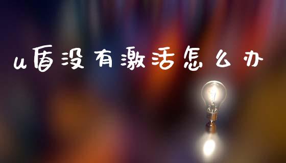 u盾没有激活怎么办_https://m.jnlaobingbanjia.com_股市新闻_第1张