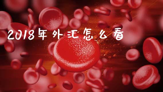 2018年外汇怎么看_https://m.jnlaobingbanjia.com_全球市场_第1张