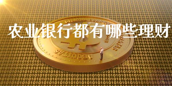 农业银行都有哪些理财_https://m.jnlaobingbanjia.com_金融监管_第1张