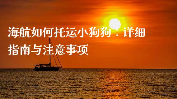 海航如何托运小狗狗：详细指南与注意事项_https://m.jnlaobingbanjia.com_股市新闻_第1张