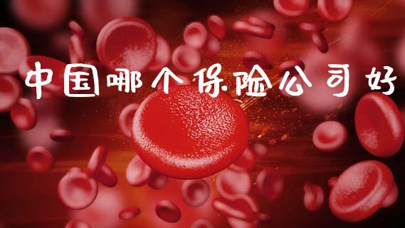 中国哪个保险公司好_https://m.jnlaobingbanjia.com_股市新闻_第1张
