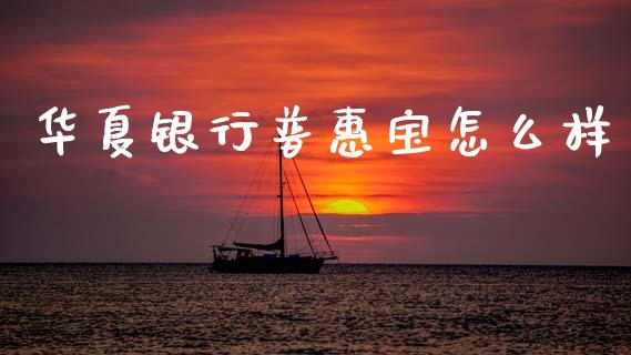 华夏银行普惠宝怎么样_https://m.jnlaobingbanjia.com_全球市场_第1张