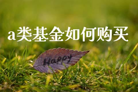 a类基金如何购买_https://m.jnlaobingbanjia.com_区块链_第1张