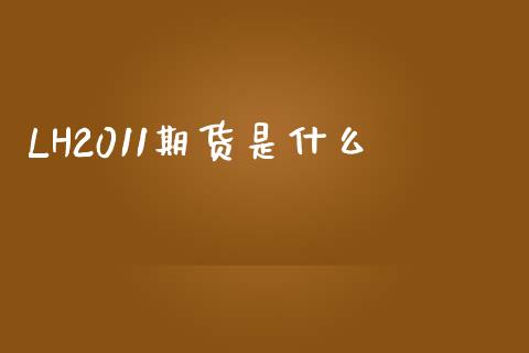 LH2011期货是什么_https://m.jnlaobingbanjia.com_全球市场_第1张