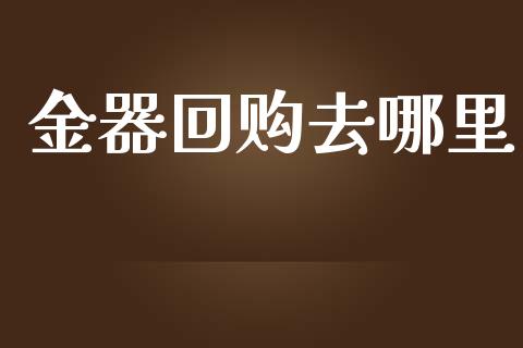 金器回购去哪里_https://m.jnlaobingbanjia.com_金融监管_第1张