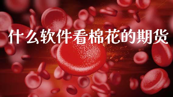 什么软件看棉花的期货_https://m.jnlaobingbanjia.com_区块链_第1张