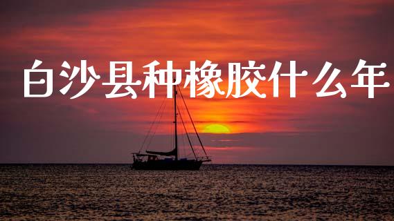 白沙县种橡胶什么年_https://m.jnlaobingbanjia.com_基金市场_第1张
