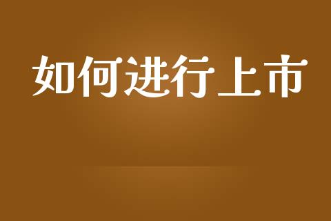 如何进行上市_https://m.jnlaobingbanjia.com_股市新闻_第1张