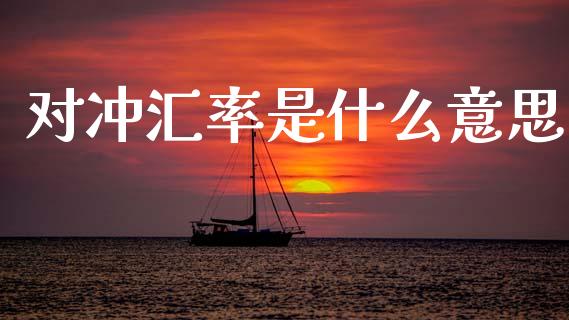 对冲汇率是什么意思_https://m.jnlaobingbanjia.com_区块链_第1张