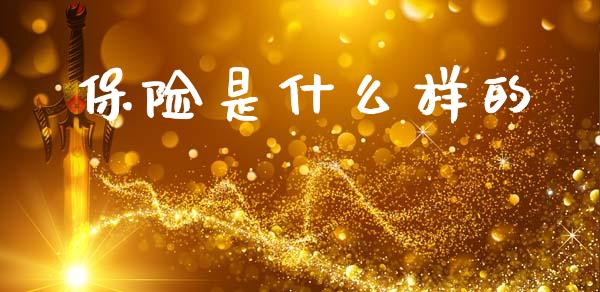 保险是什么样的_https://m.jnlaobingbanjia.com_基金市场_第1张