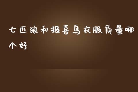 七匹狼和报喜鸟衣服质量哪个好_https://m.jnlaobingbanjia.com_全球市场_第1张