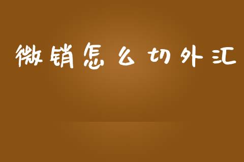 微销怎么切外汇_https://m.jnlaobingbanjia.com_区块链_第1张
