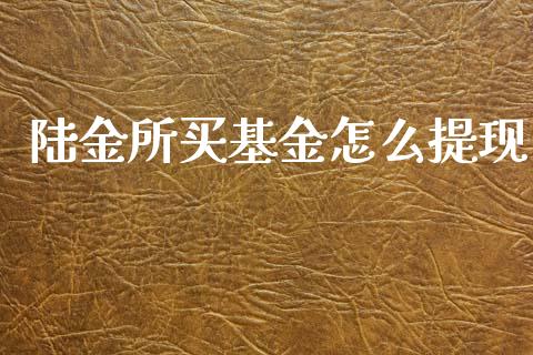 陆金所买基金怎么提现_https://m.jnlaobingbanjia.com_金融监管_第1张