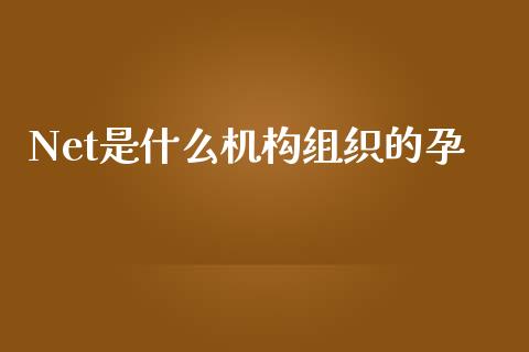 Net是什么机构组织的孕_https://m.jnlaobingbanjia.com_全球市场_第1张