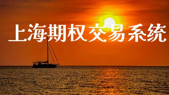 上海期权交易系统_https://m.jnlaobingbanjia.com_金融监管_第1张