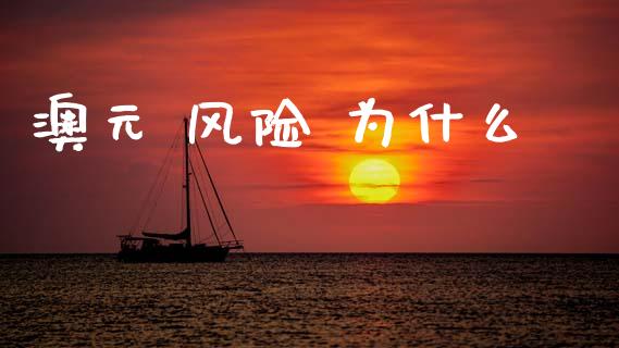 澳元 风险 为什么_https://m.jnlaobingbanjia.com_金融监管_第1张