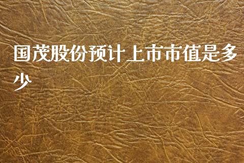 国茂股份预计上市市值是多少_https://m.jnlaobingbanjia.com_理财规划_第1张