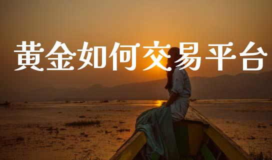 黄金如何交易平台_https://m.jnlaobingbanjia.com_基金市场_第1张
