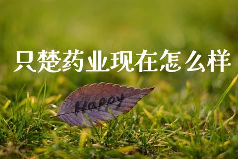 只楚药业现在怎么样_https://m.jnlaobingbanjia.com_基金市场_第1张