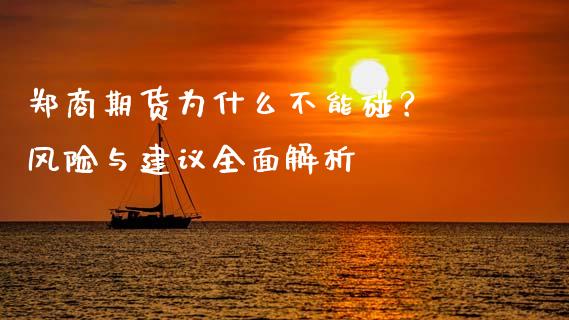 郑商期货为什么不能碰？ 风险与建议全面解析_https://m.jnlaobingbanjia.com_理财规划_第1张