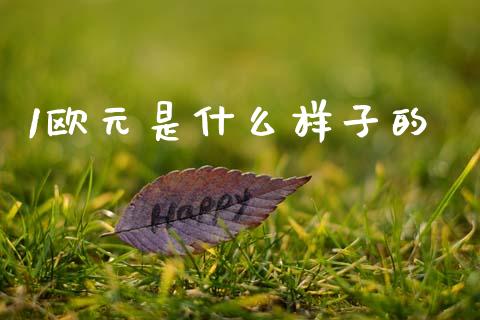 1欧元是什么样子的_https://m.jnlaobingbanjia.com_股市新闻_第1张