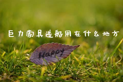 巨力索具造船用在什么地方_https://m.jnlaobingbanjia.com_理财规划_第1张