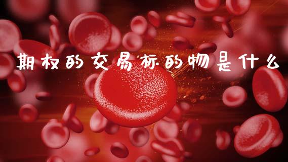 期权的交易标的物是什么_https://m.jnlaobingbanjia.com_全球市场_第1张