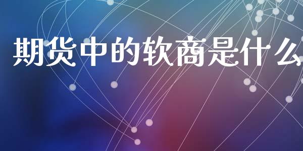 期货中的软商是什么_https://m.jnlaobingbanjia.com_理财规划_第1张