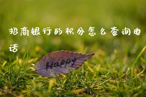 招商银行的积分怎么查询电话_https://m.jnlaobingbanjia.com_金融监管_第1张